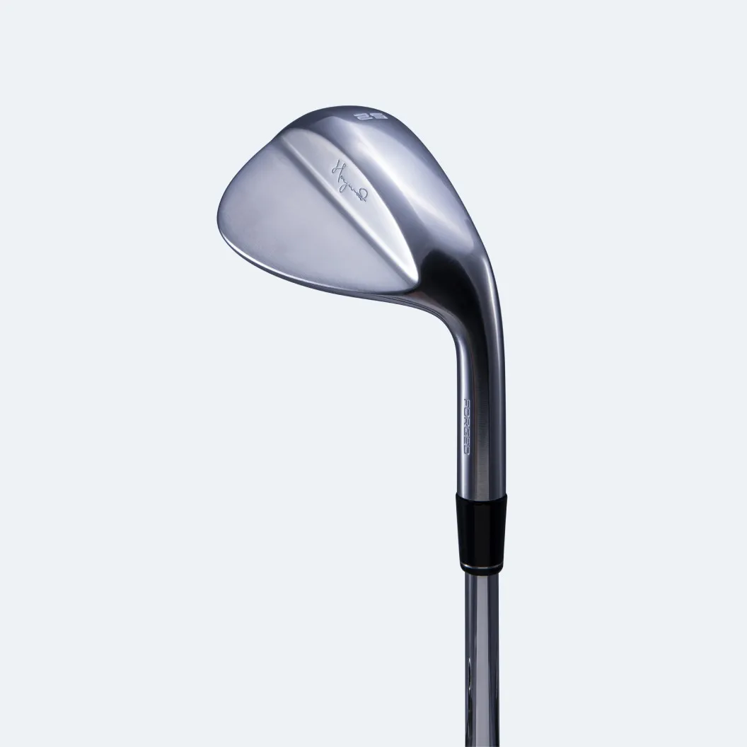 Complete Set w/ PD.1 Irons (Players Distance) - Image 5